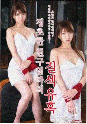 长风渡口剧集内容封面
